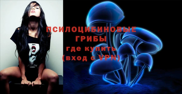 мдма Новодвинск