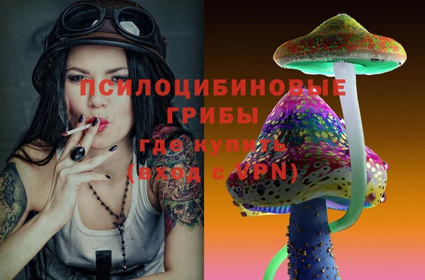 мдма Новодвинск