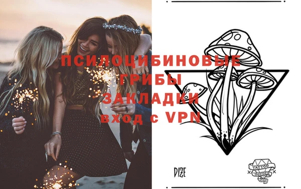 первитин Новозыбков